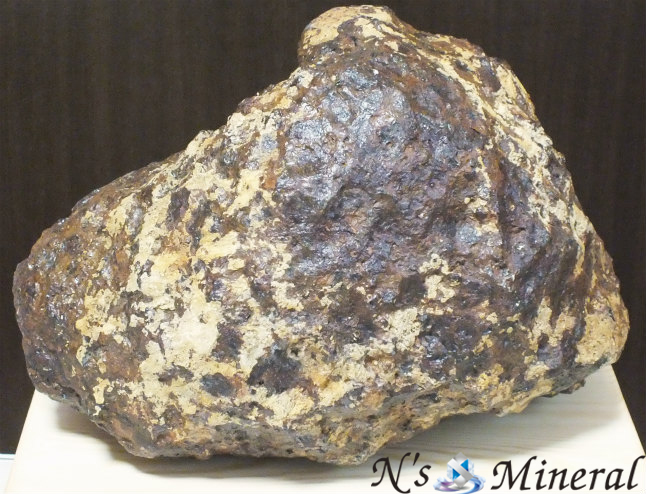 隕石標本 パラサイト石鉄隕石