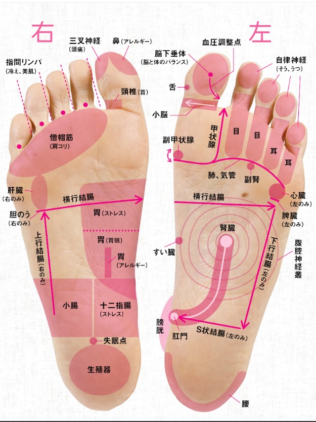 コラム | 足ツボマッサージ師 Matty公式サイト
