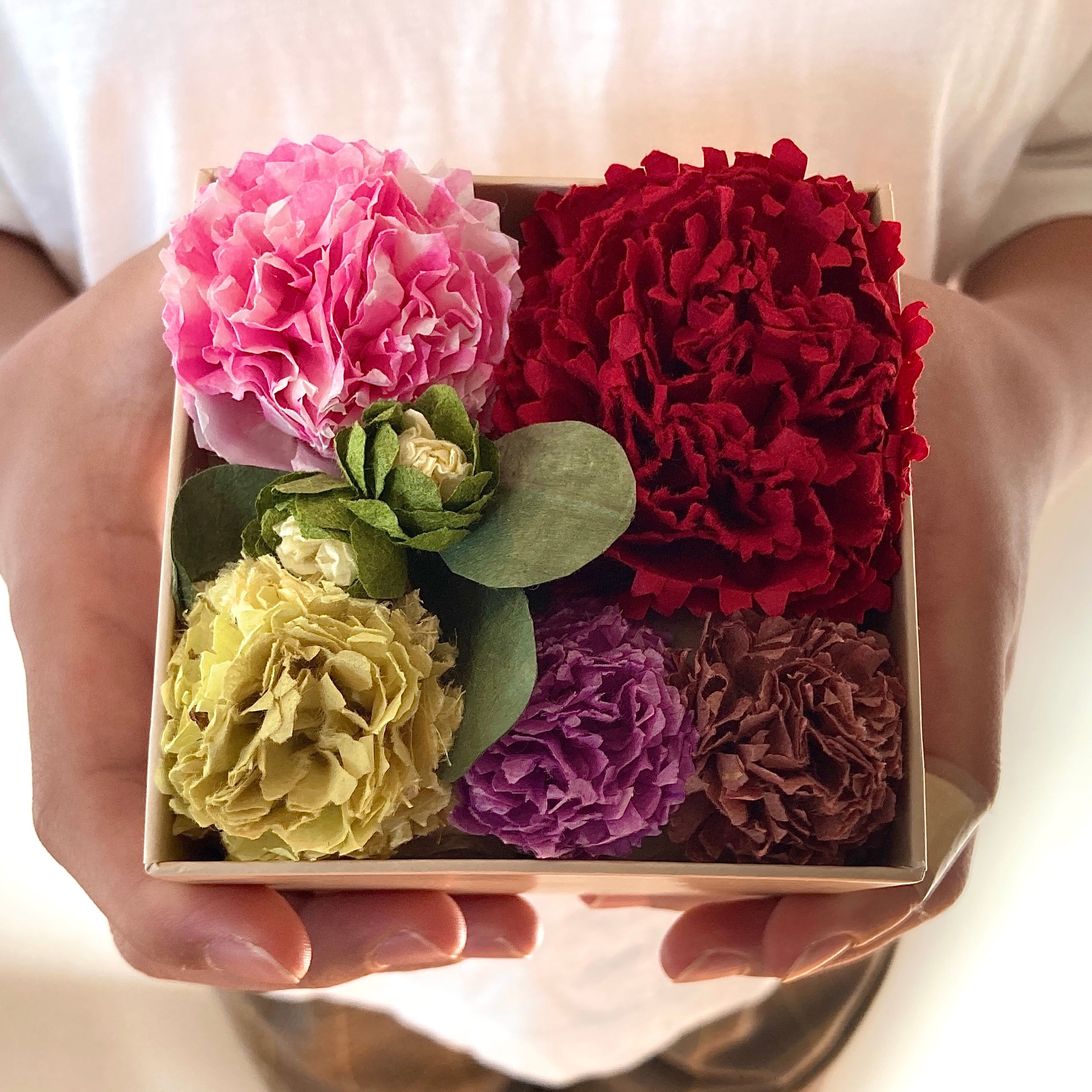 アーリー・イヤーズ・ボックス カーネーション CARNATION アーリー