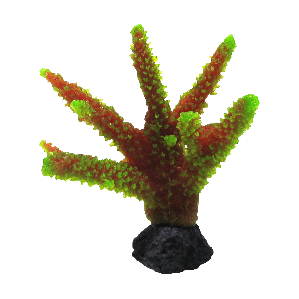 装飾珊瑚 彩り豊かでリアルな飾り珊瑚 - 株式会社スプリング