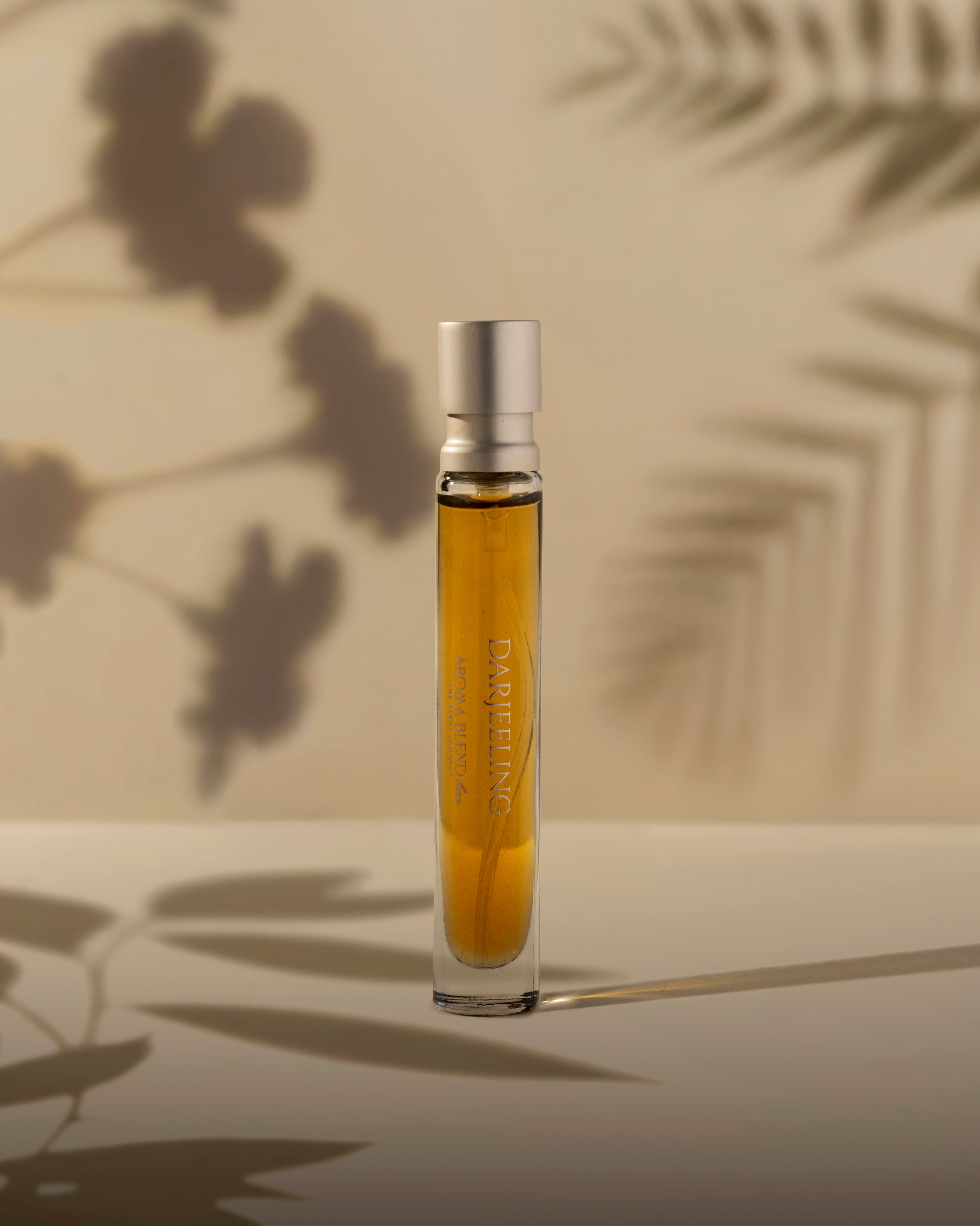 IMG_6521.jpg?v=1741233037&