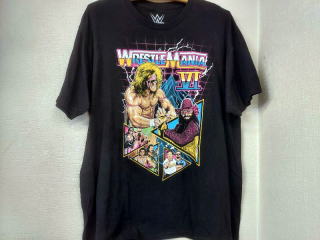 アルシオン 府川唯未 引退記念 グッズ ストア （入手困難）アルシオン