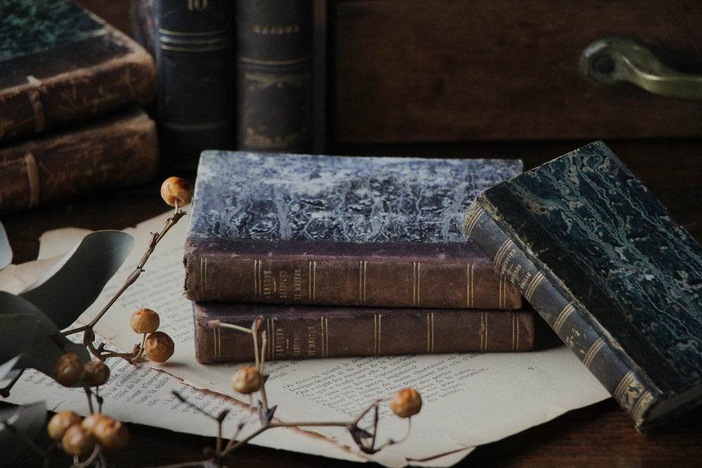 2冊あり！ディスプレイで活躍してくれる洋書（1825-1845年） フランス