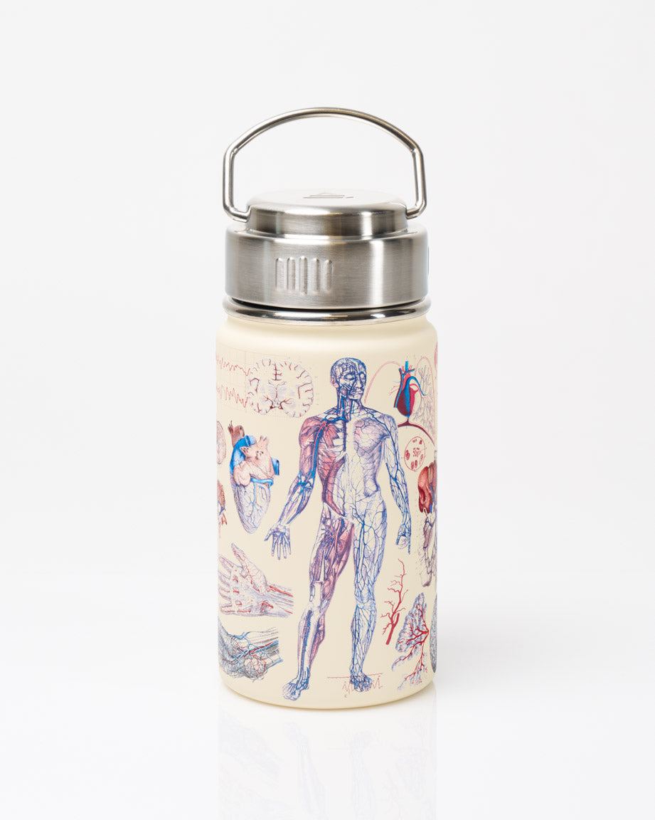 Human Anatomy Stainless Steel Vacuum Flask / Insulated Travel