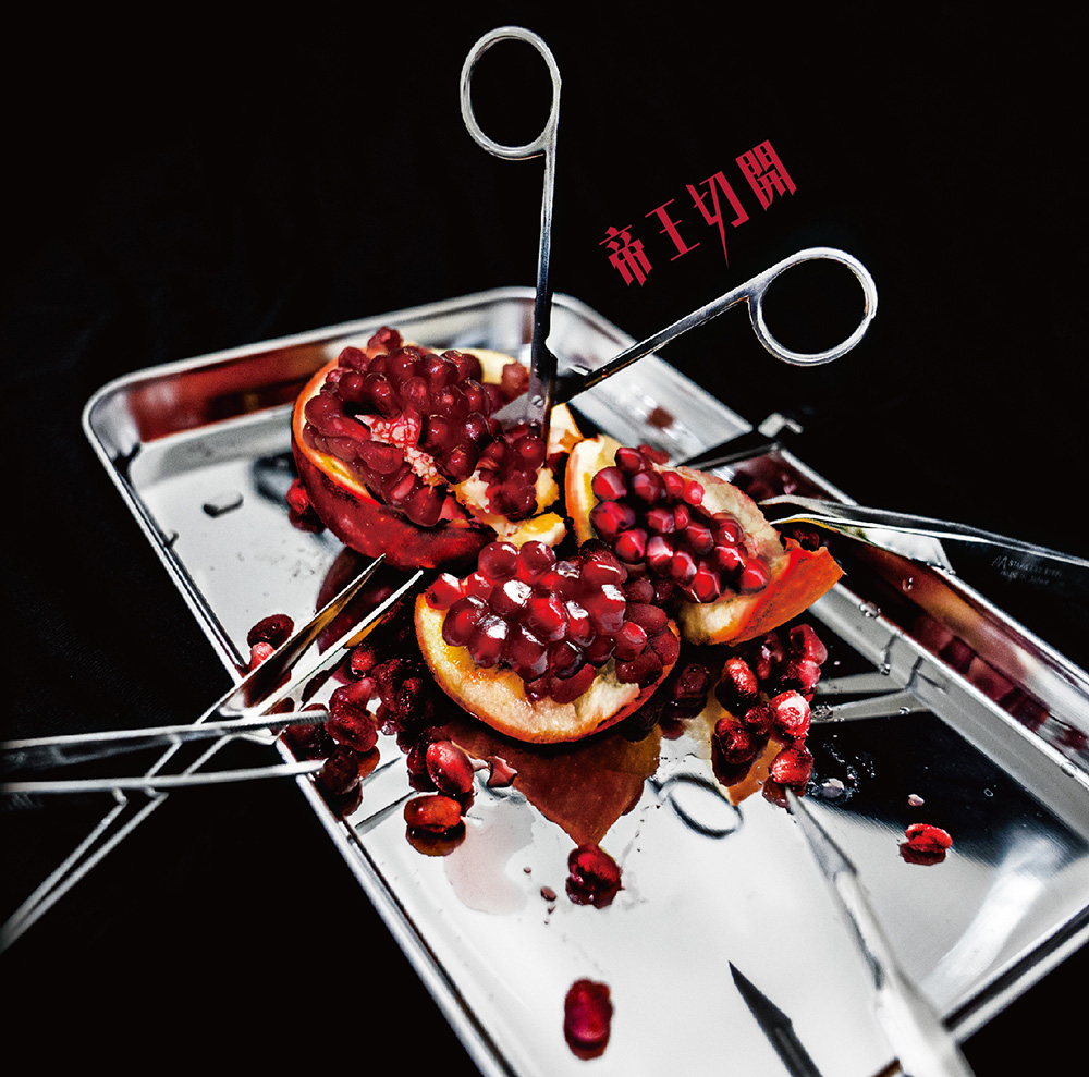 DISCOGRAPHY｜コドモドラゴン Official web site