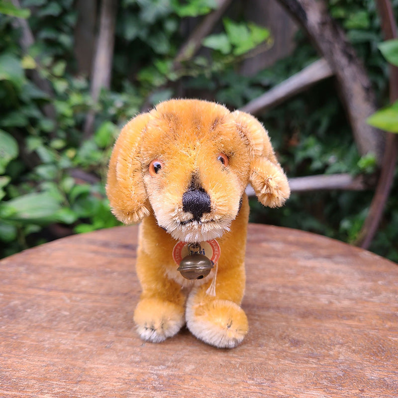 シュタイフ 子犬ぬいぐるみ Bazi バツィー Steiff ダックスフント