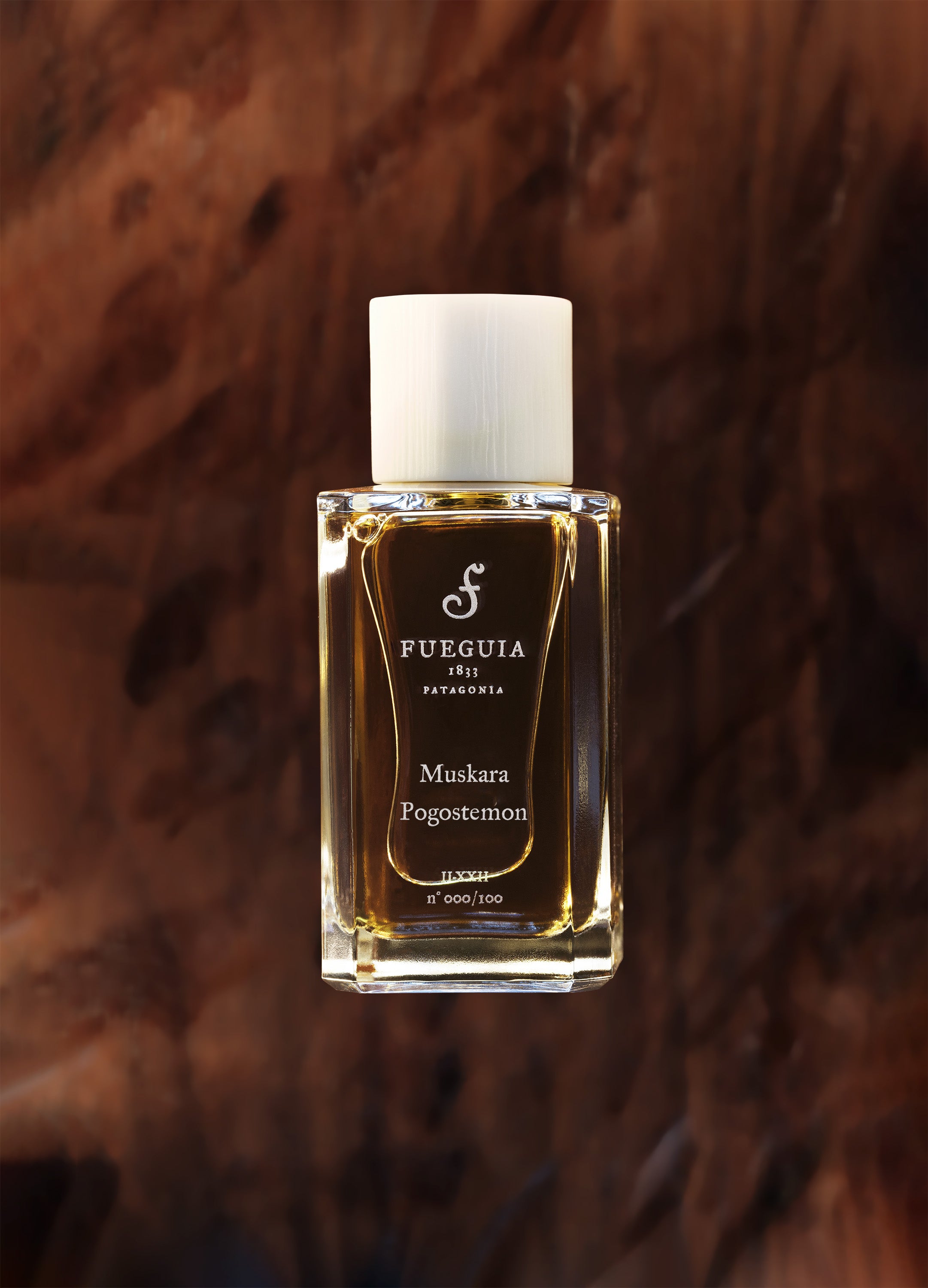FUEGUIA 1833 | Muskara Pogostemon｜ムスカラ ポゴステモン – FUEGUIA