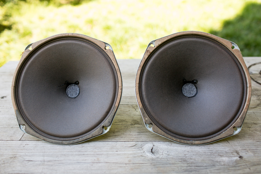 Glow in the Dark Audio - Zenith 49CZ1064 10 inch wide band drivers