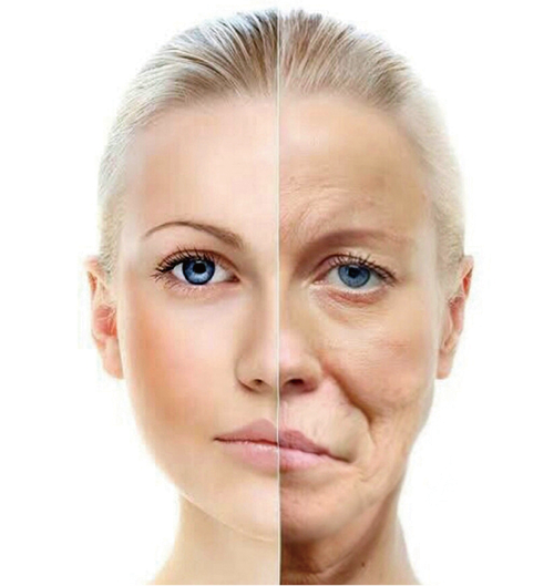 フェイススリムブースターセラム Face Slim Booster Serum - gran-9