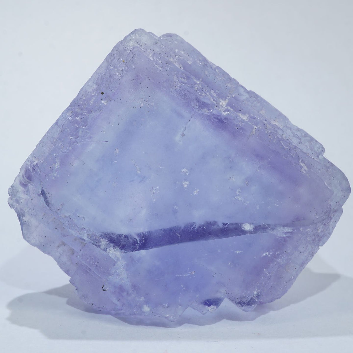 94554-c1_1200x1200.jpg?v=