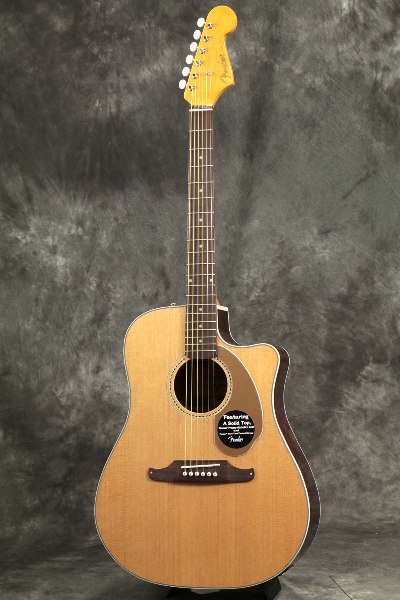 ジャーニーマンの夢 ＃010 フェンダーアコースティックSonoran