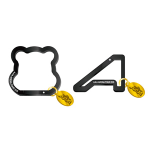 AAA ARENA TOUR 2015 10th Anniversary -Attack All Around-ツアー