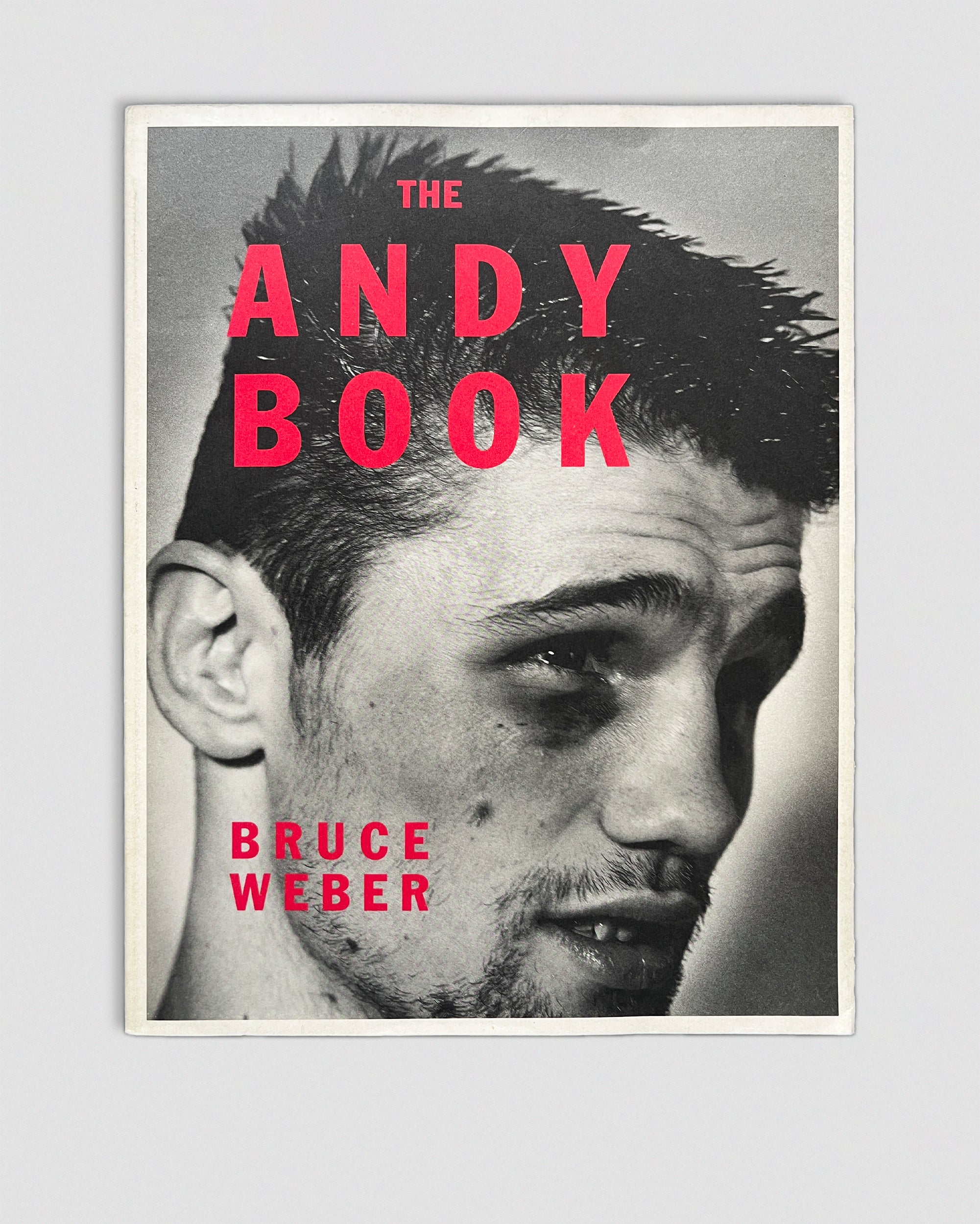The Andy Book - Bruce Weber – In Form Library