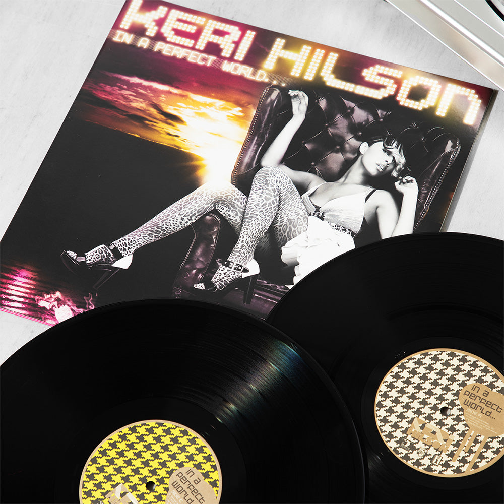 In A Perfect World 2LP - Interscope Records