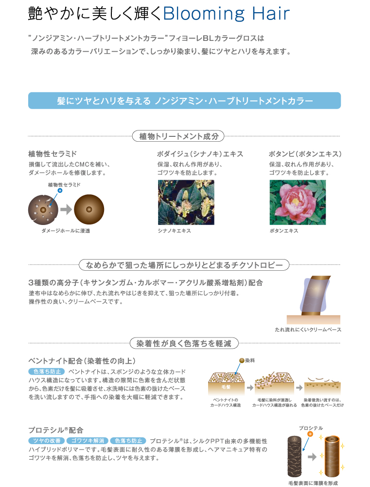 美容室専売品卸/通販 IDC-BeautyHair / フィヨーレ BLカラーグロス