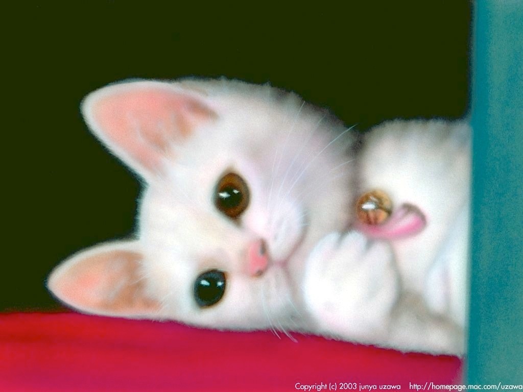 リアリズム絵画／動物の絵（動物イラスト）／子猫の絵／ODDEYE ～幸運