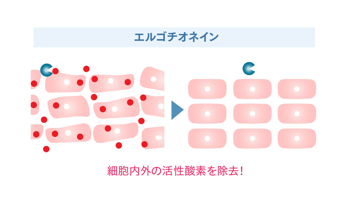 JC 水光エッセンス - 自由が丘クリニックドクターズコスメティクス
