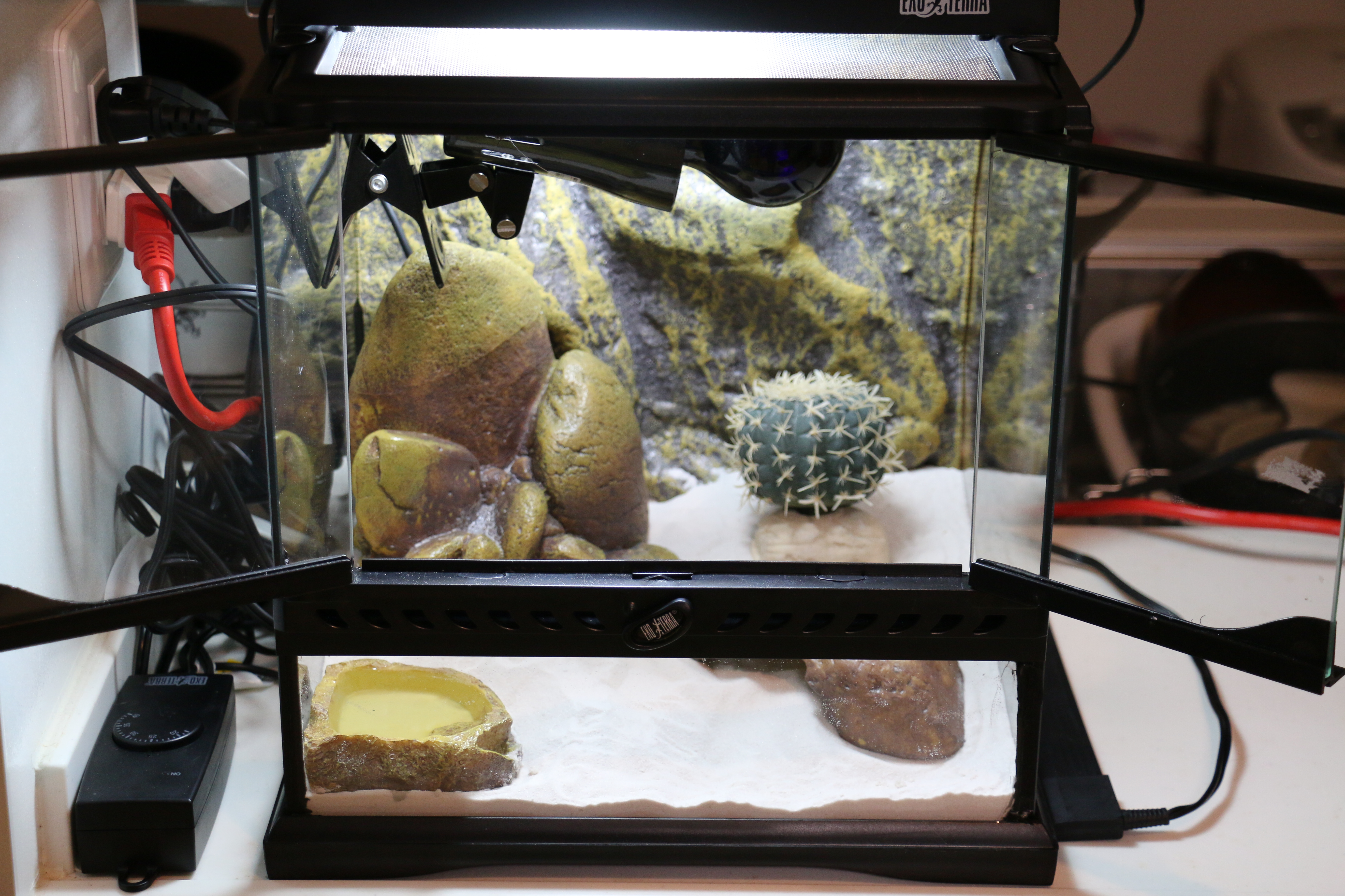 グラステラリウム3030 ヒョウモントカゲモドキ | SHULOG