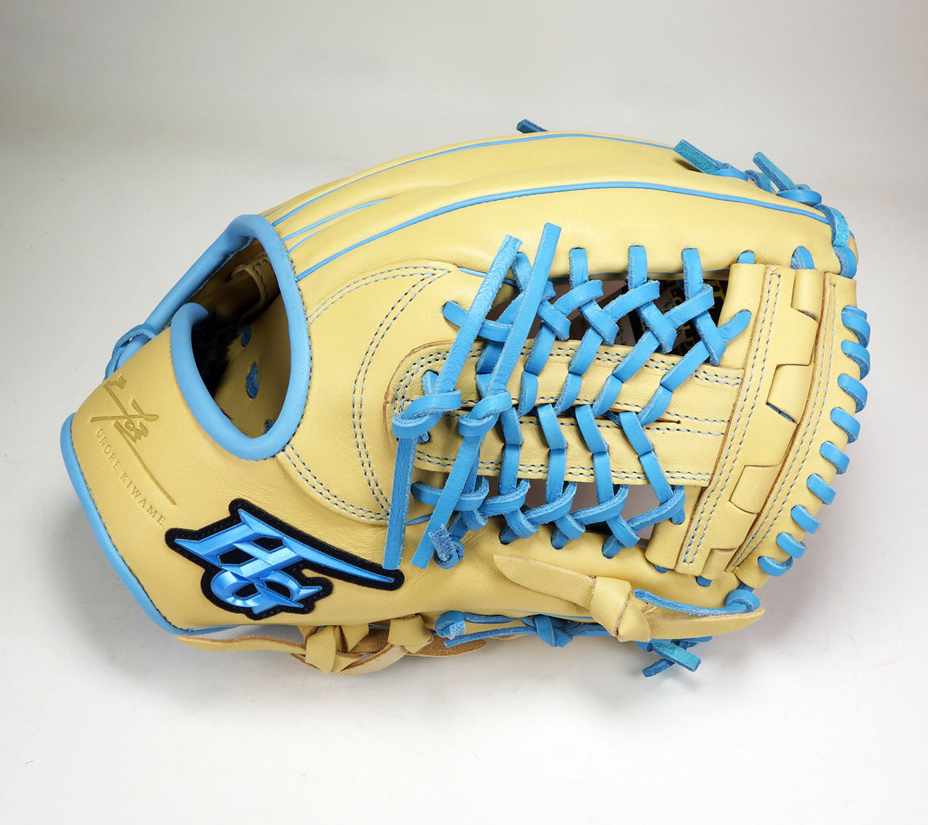 ハイゴールド（HI-GOLD） 軟式用グラブ オールラウンド用 OKG-8815SP