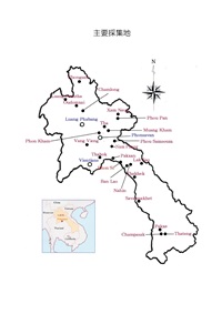 私のラオス蝶類図譜