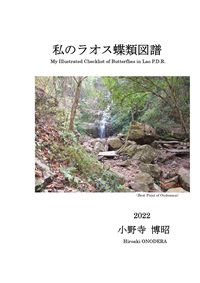 私のラオス蝶類図譜