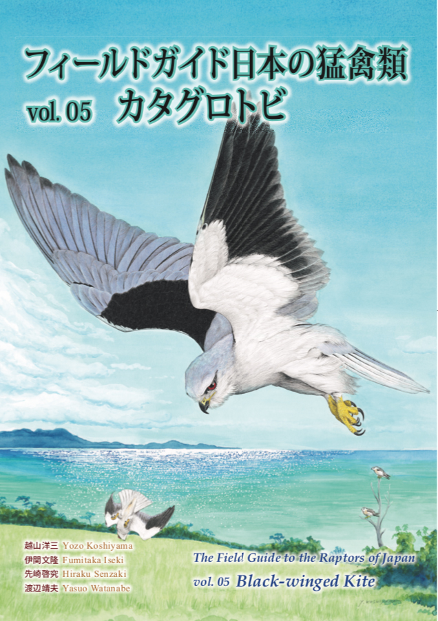 フィールドガイド日本の猛禽類