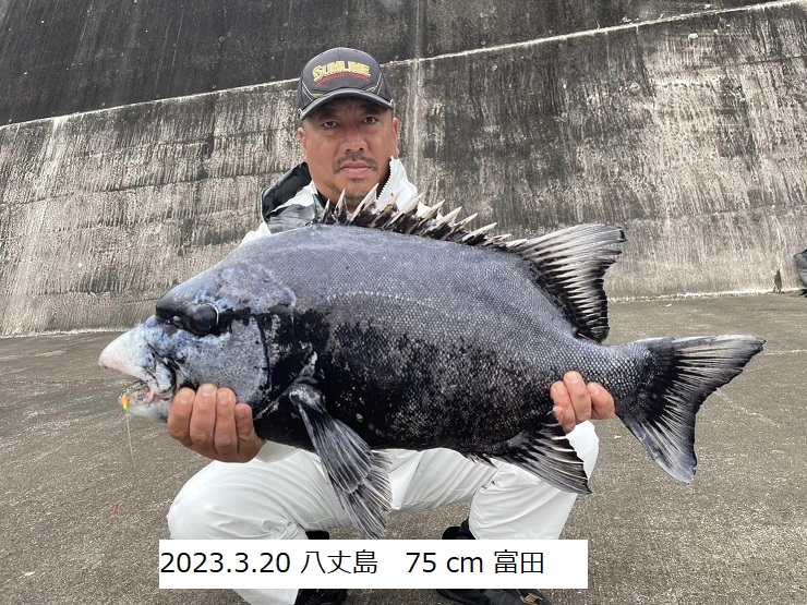 伊豆半島を中心に活動する石鯛釣りクラブ