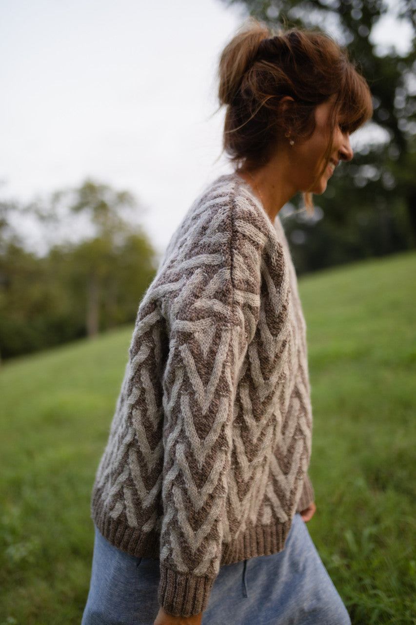 Finn V-Neck Wool Sweater - Pre-Order 10/30 – LizAlig