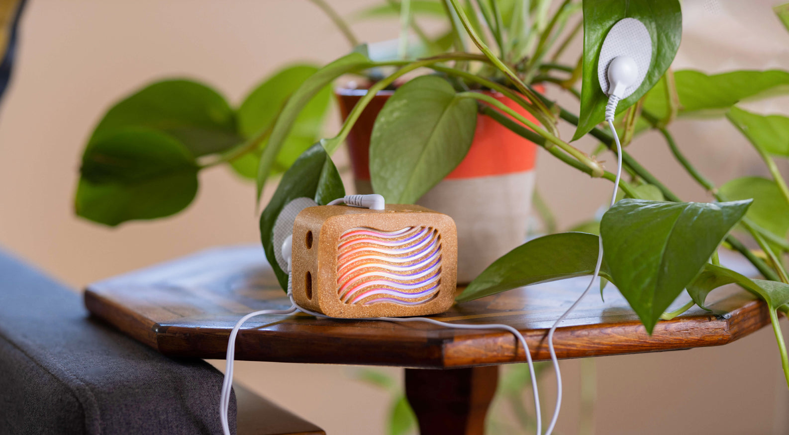 Is This “Plant Music Device” the Real Dream Come True for Nature