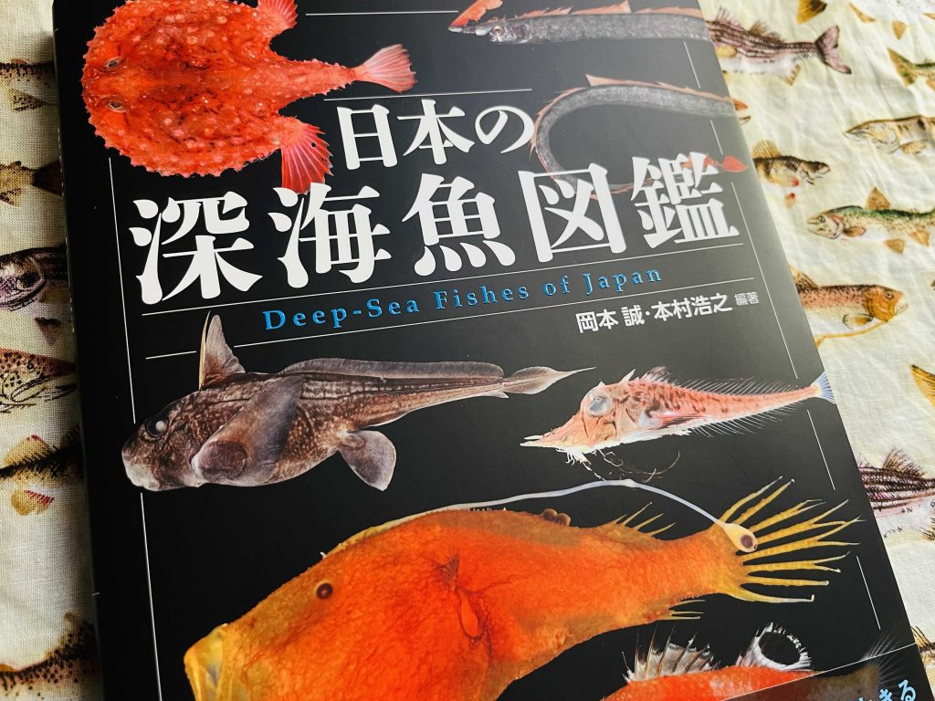 RIVER-WALKブログ【地球最後の秘境・深海を楽しむ】 | RIVER-WALK