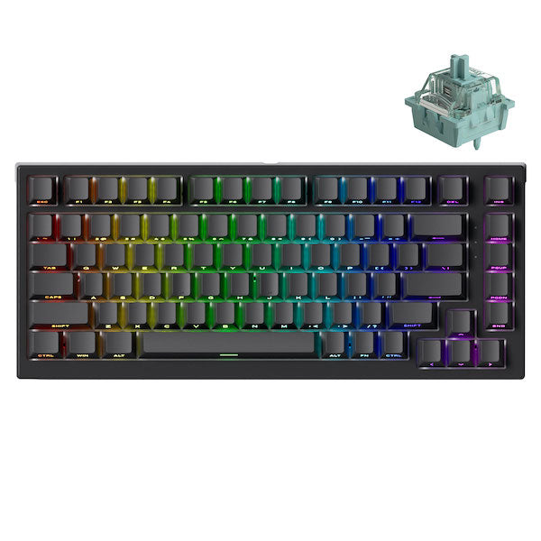 Akko TAC75 HE 75%英語配列 0.005mmラピッドトリガー対応 AstroAim