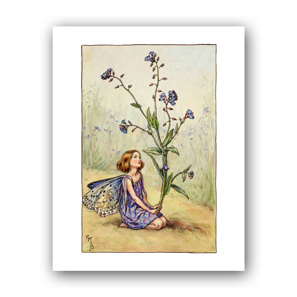 The Forget-me-not Fairy 11x14