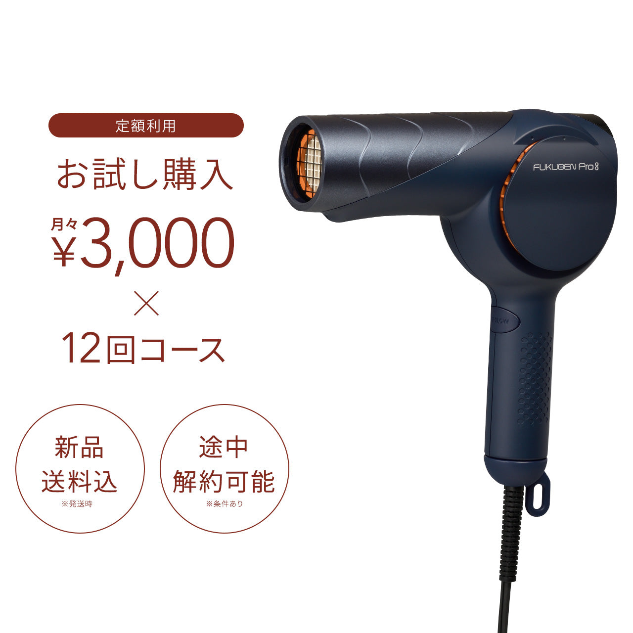 復元ドライヤーPro8お試し購入（月々3,000円×12回コース） – LOUVREDO