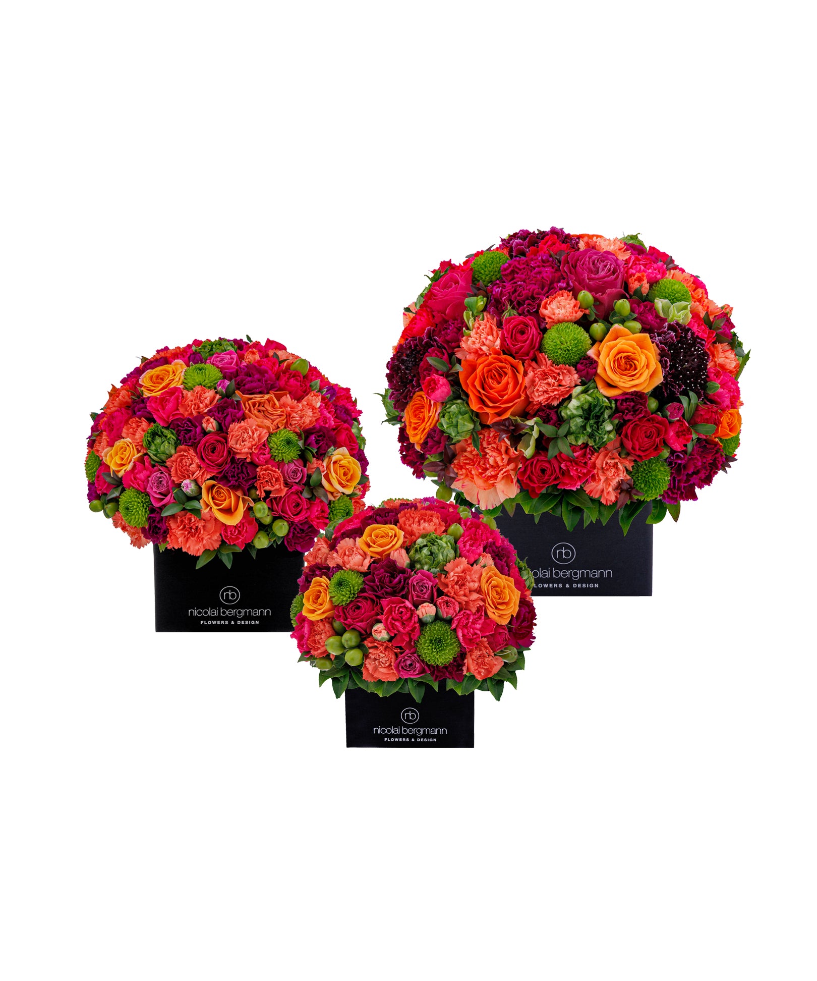 Color Crush（カラー クラッシュ）