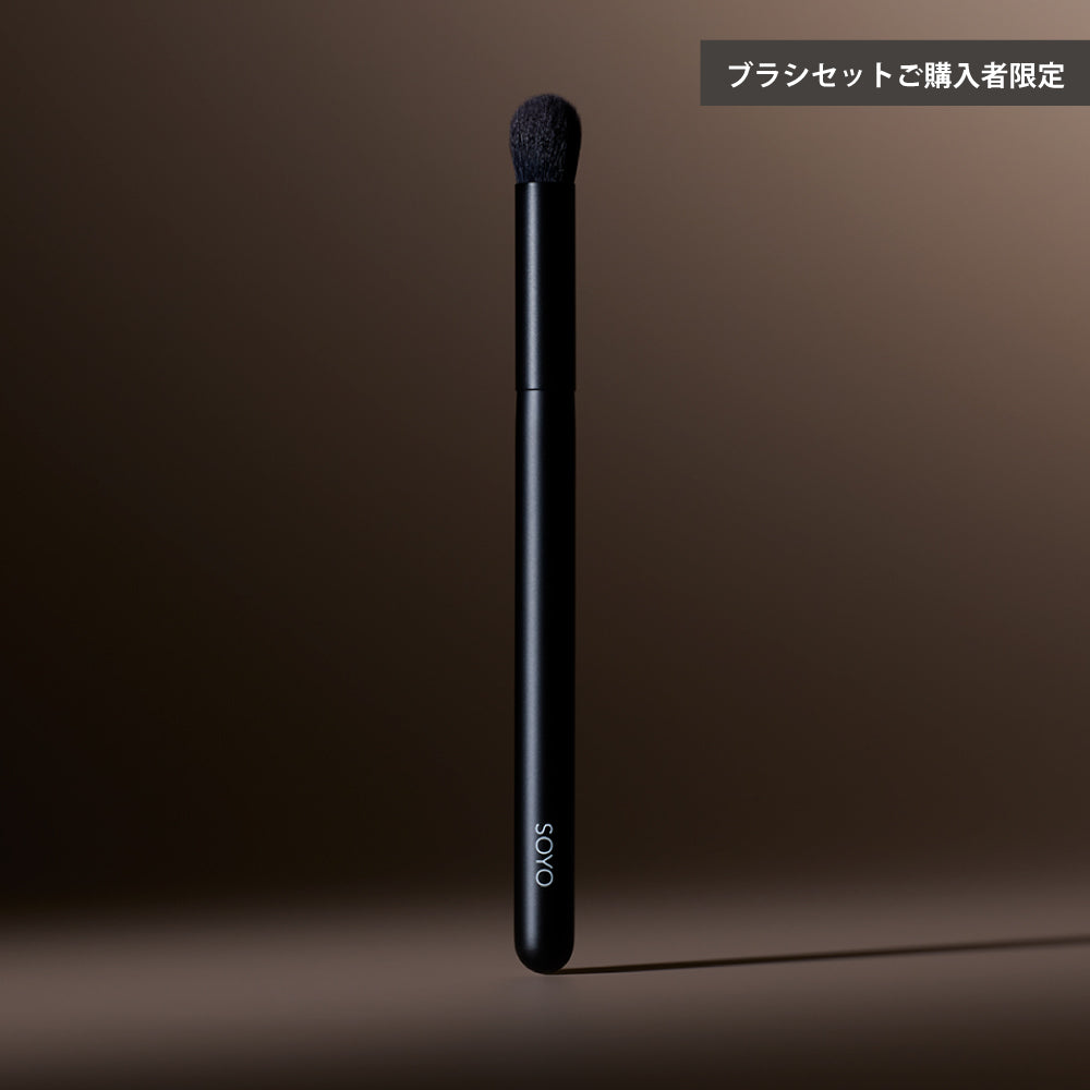 10. SOYO マルチ フィンガー ブラシ