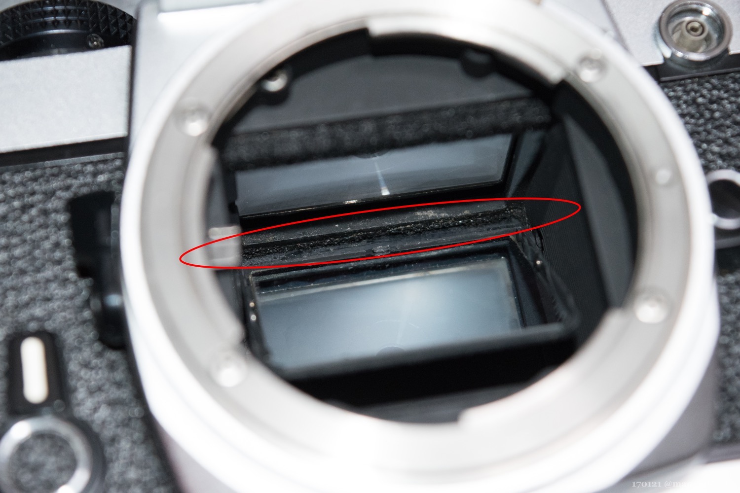 ニコンFM・モルトプレーン交換顛末記 – Sakurae.JP