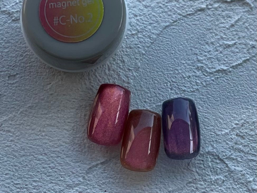 C-No.2】 color magnet | Salon de Vi2
