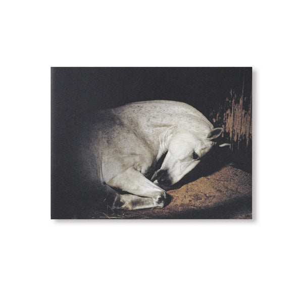 ANIMA by Charlotte Dumas – twelvebooks