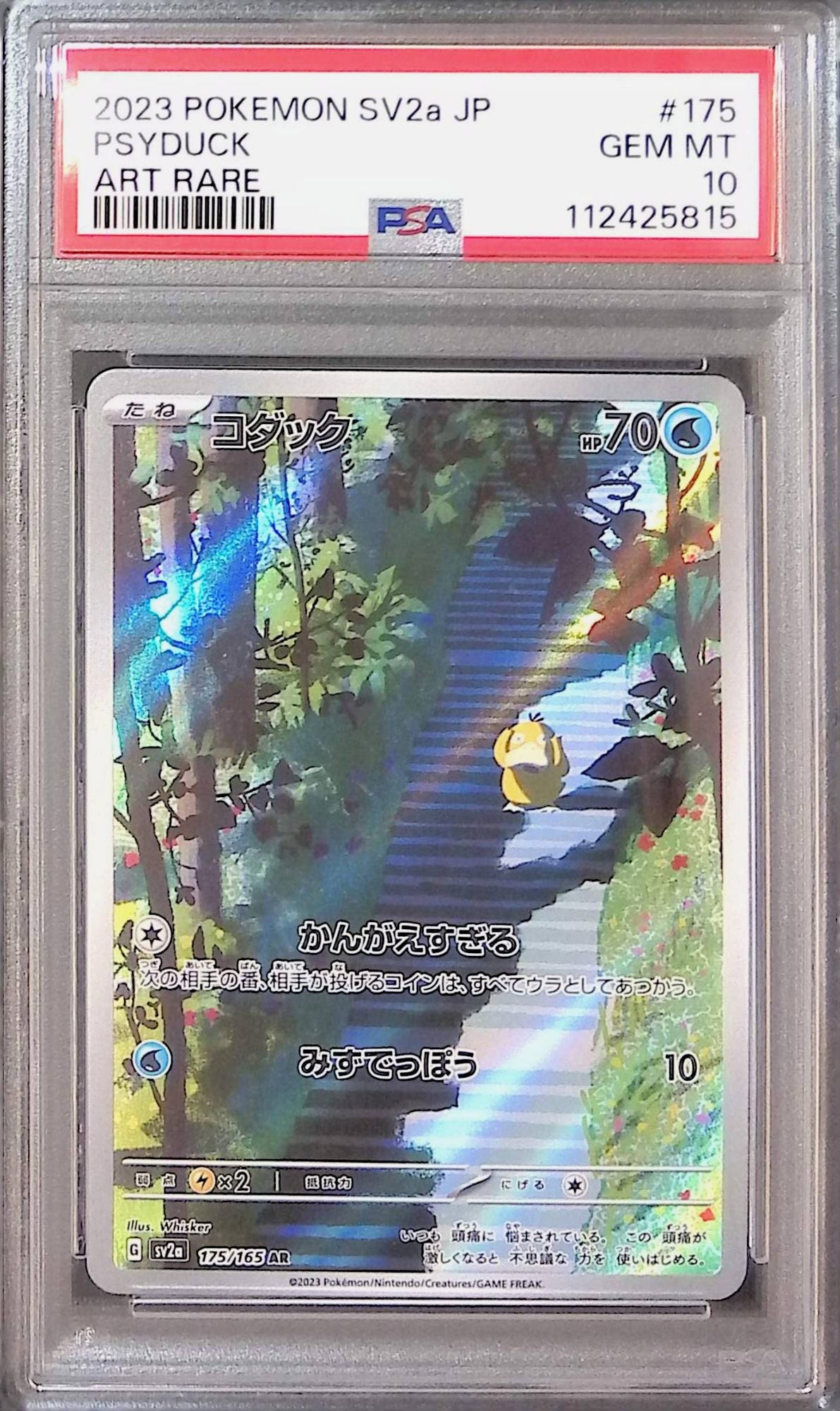 175/165/SV2A/AR コダック PSA10 112425815
