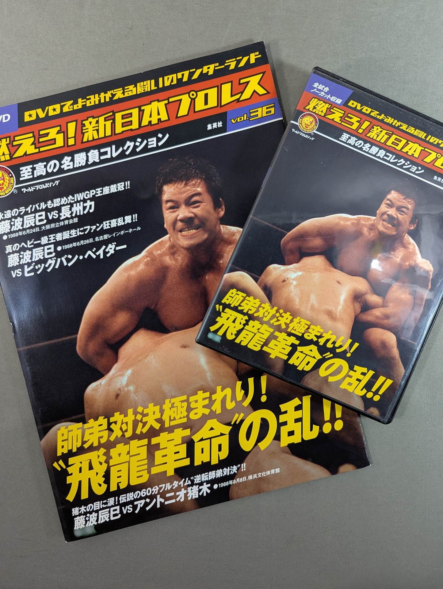 燃えろ!新日本プロレス vol.36 – 闘道館