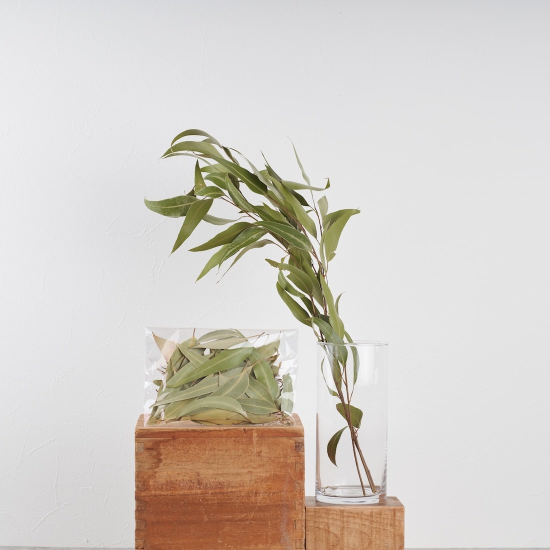 ディスプレイの幅が広がる、ドライボタニカル量り売り（ユーカリロング