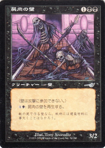 カードセット「ネメシス」(25 枚)｜マジック：ザ・ギャザリング