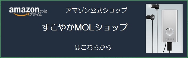 VALKEE JAPAN (バルケージャパン)