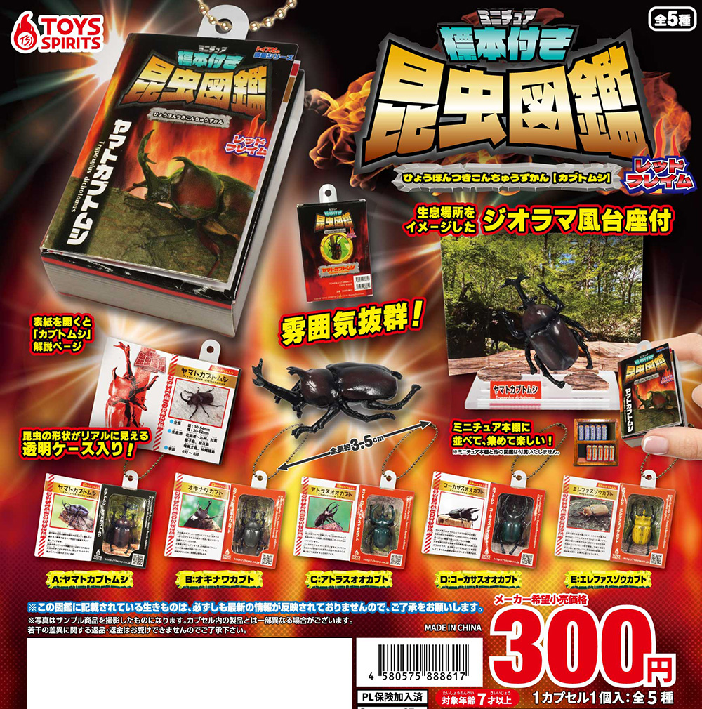 ミニチュア標本付き昆虫図鑑マスコット カブトムシ【レッドフレイム】