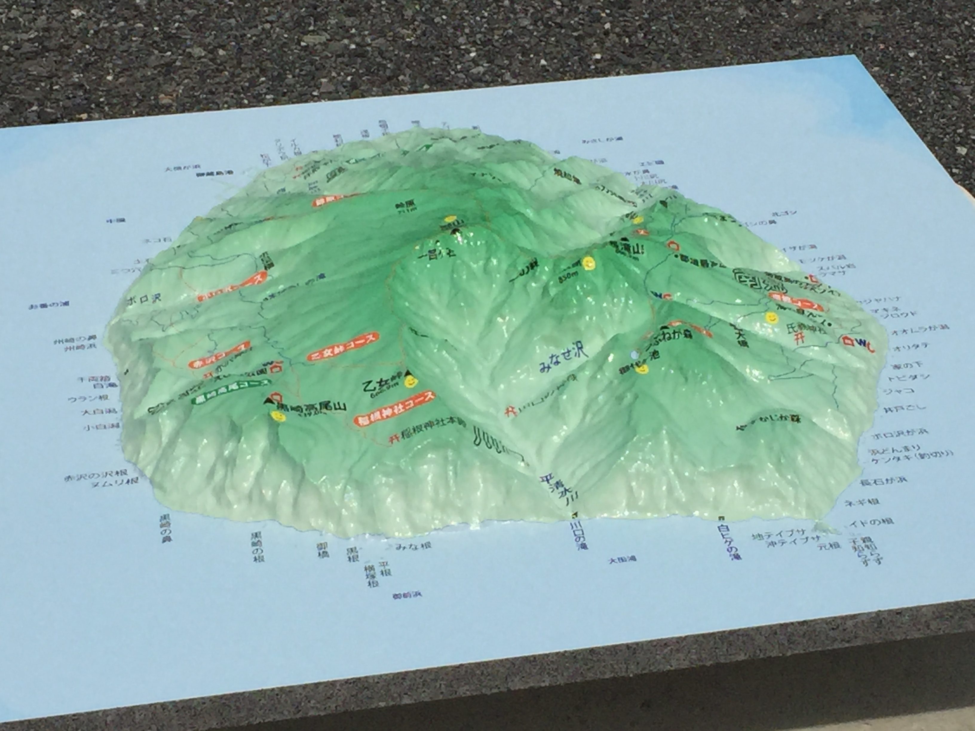 立体地図・立体航空写真模型の製作事例