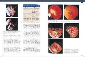 NEW LLL PUBLISHER 【世界動物病院協会】