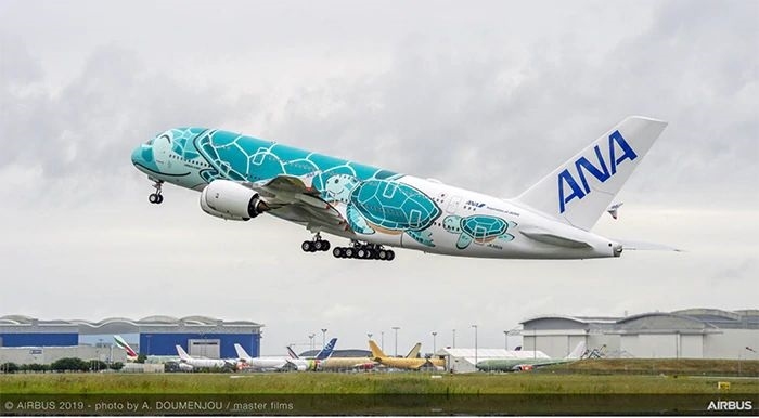 ANA、A380「FLYING HONU」の2号機就航 エメラルドグリーンのカラー