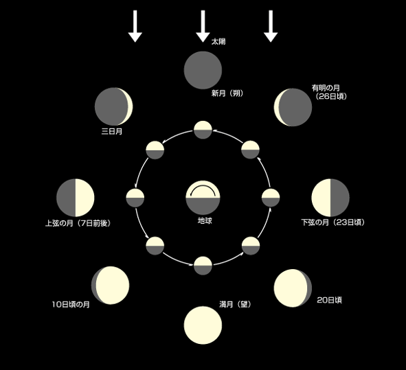 月の満ち欠け（朔望）
