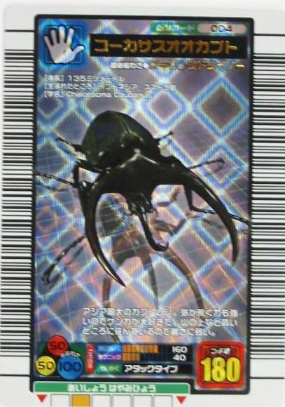 旧ムシキングカード 値下げしました 旧ムシキングカード 値下げしま