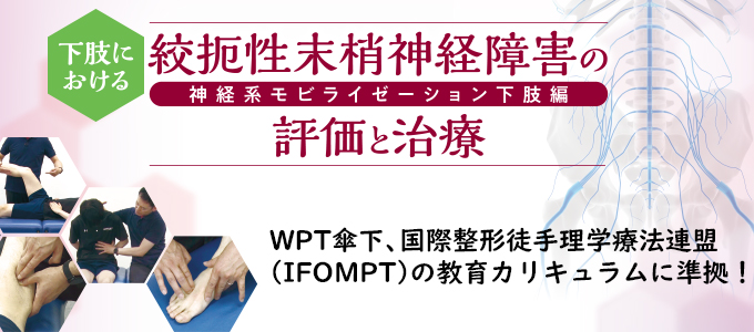 下肢における絞扼性末梢神経障害の評価と治療～神経系